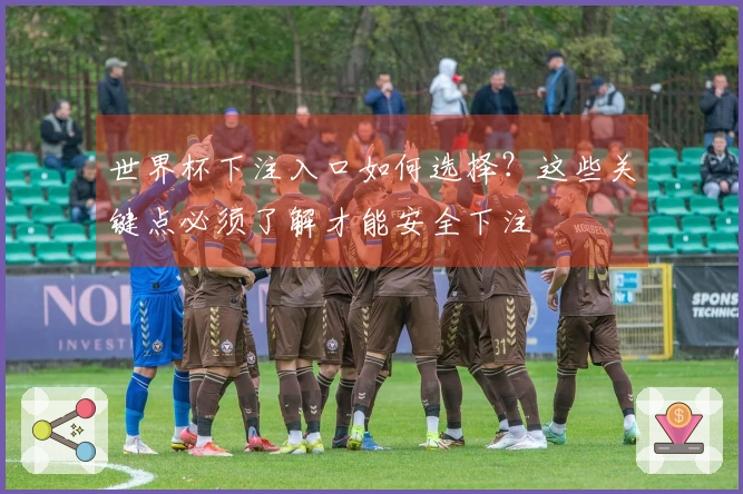 世界杯下注入口如何选择?这些关键点必须了解才能安全下注