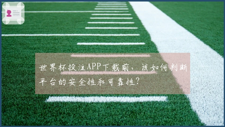 世界杯投注APP下载前,该如何判断平台的安全性和可靠性?
